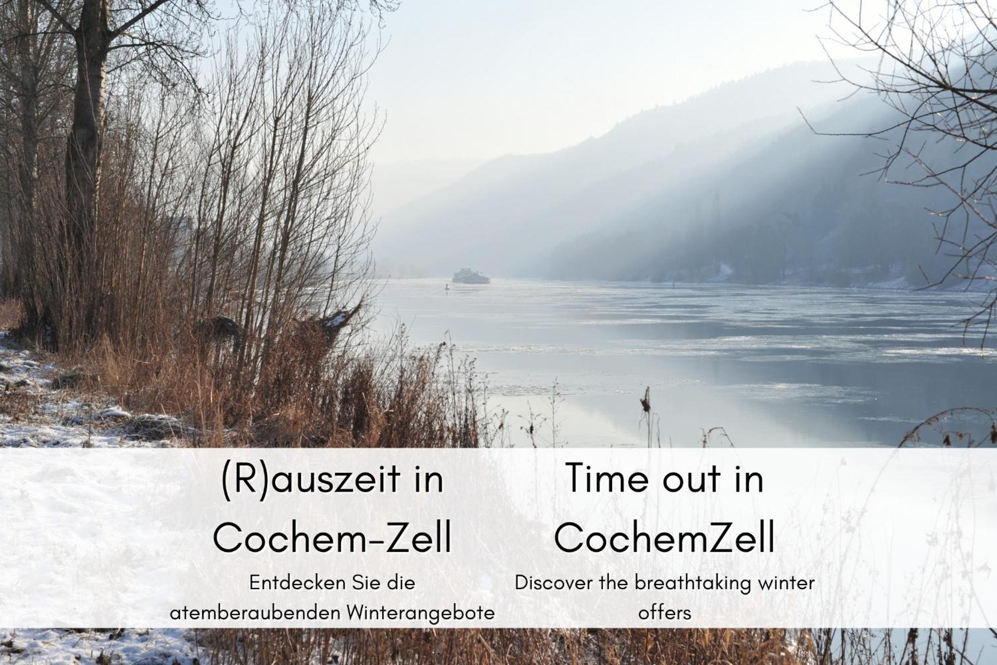 Winzerhaus Am Calmont - Terrasse Der Ruhe Daire Bremm Dış mekan fotoğraf